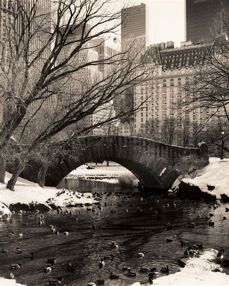 Central Park Bridges 4 | McGaw Graphics