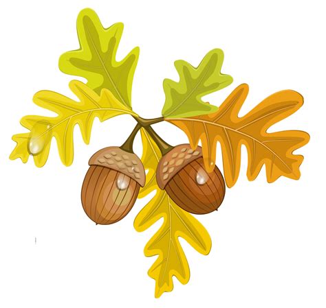 Acorn image for fall clipart autumn – Clipartix