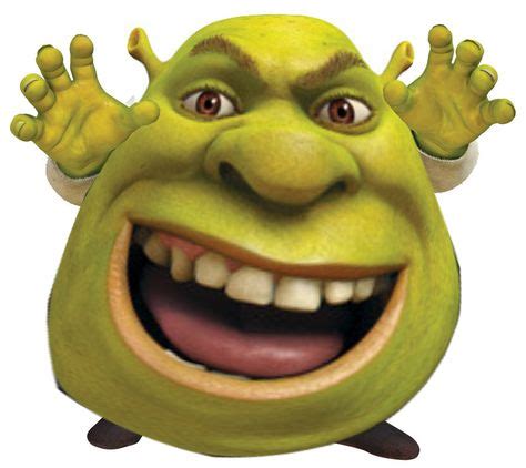 15 idéer på SHREK | bambam, sjov, funny