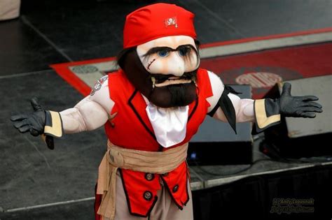 Tampa Bay Buccaneers Mascot | Tampa Bay Buccaneers Mascot Captain Fear ...