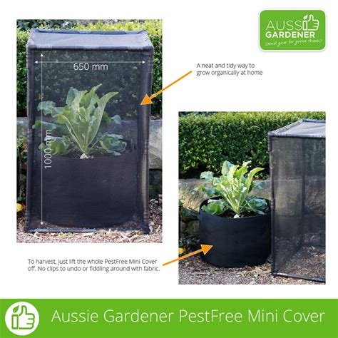 Pest Free Covers — Aussie Gardener