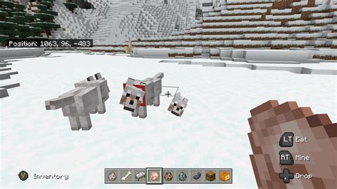 Tamed Wolf Minecraft