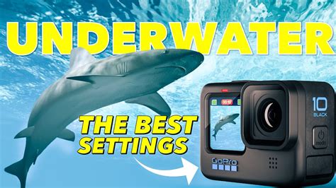 The BEST GoPro Underwater Settings! Hero 10 & Hero 11, Hero 12 - YouTube