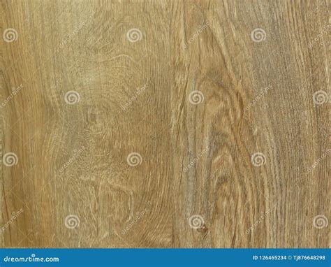 Fine Oak Tree Wood Texture Pattern Background. Exquisite Design Oak ...