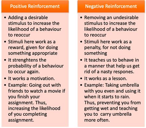 Positive vs Negative Reinforcement: Which Is More Effective?