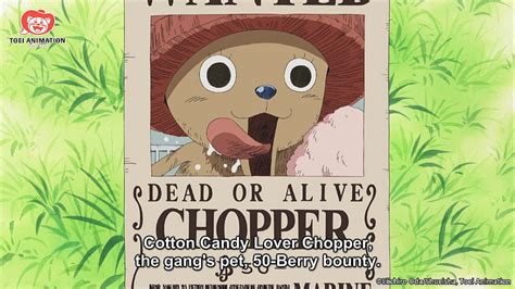 Crunchyroll The 10 Funniest Long Running Gags In One Piece, Chopper Bounty HD wallpaper | Pxfuel