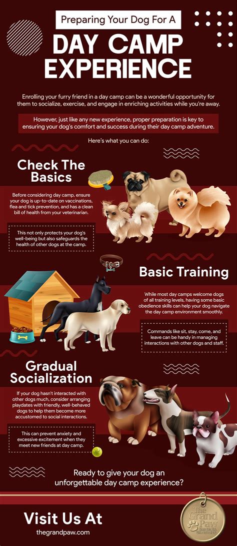 Preparing Your Dog For A Day Camp Experience | The Grand Paw