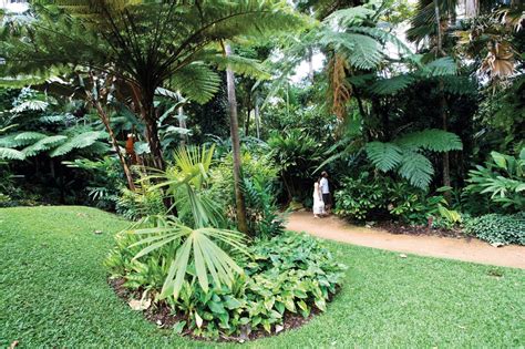 Cairns Attractions | Cairns Botanical Gardens & Attractions