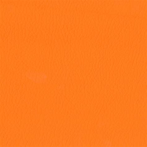 Orange : Fresh Orange Stock Photo Image By C Valery121283 42673487 ...