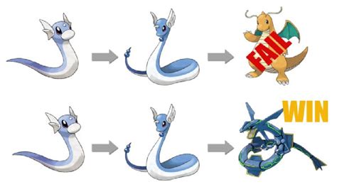 dratini evolution