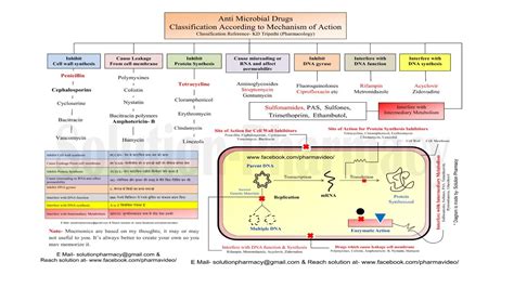 Quinolone Antibiotics Classification