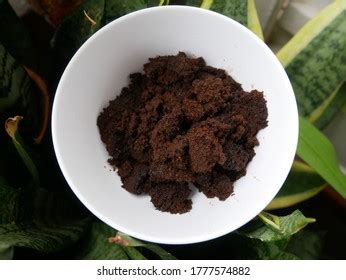 2,824 Coffee Fertilizer Images, Stock Photos & Vectors | Shutterstock