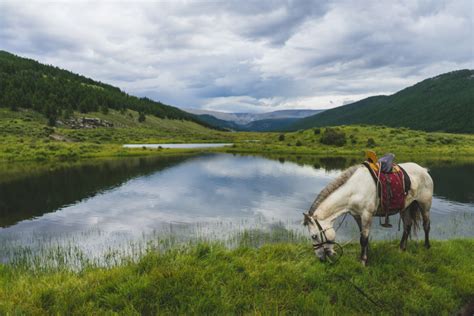 61 Useful Tips for Travelling to Mongolia (Backpacker’s Guide)