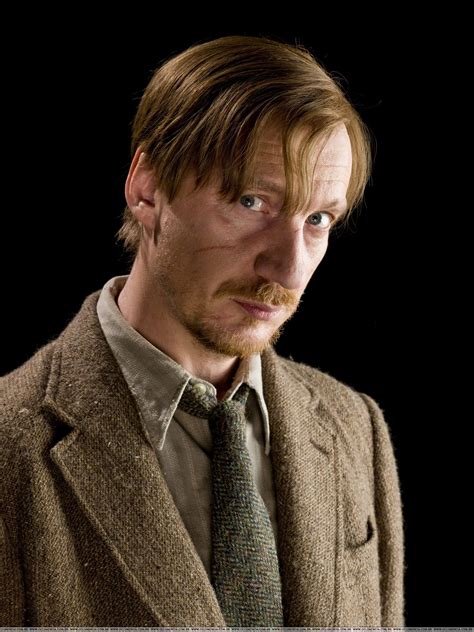 Remus Lupin - Remus Lupin Photo (17165278) - Fanpop