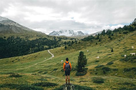 The Ultimate Hiking Guide to the Swiss National Park