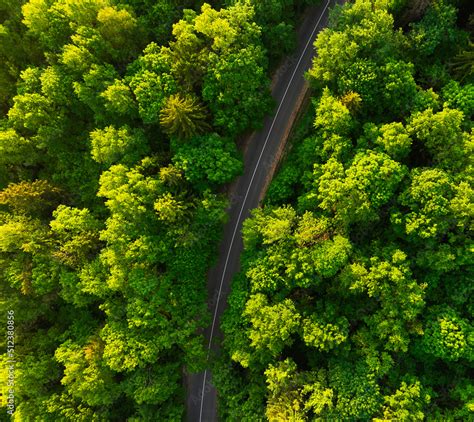 Foto de Highway in forest with pine trees, top view. Countryside Road ...