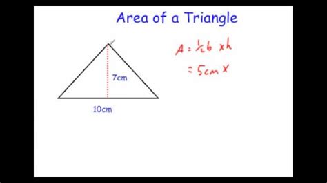 How Do You Find The Area of a Triangle? - Onhax Me