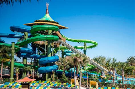 Which Florida Water Park Has the Most Thrilling Slide?