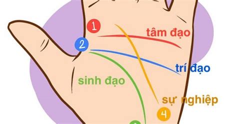 Xem chỉ tay nữ đường sự nghiệp dự đoán tương lai