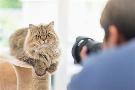 8 Wildlife Photography Tips for Beginners ️ iPhotography