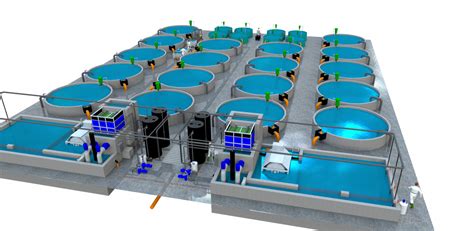 Project concept for aquaculture in RAS and flow-through systems: rex-m