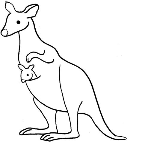 Free Printable Kangaroo Coloring Pages For Kids - Animal Place