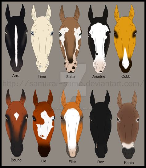 RMs Horse face markings 2 by samuRAI-same on DeviantArt