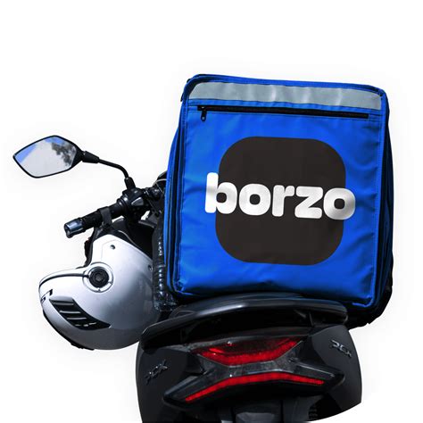 Courier Delivery Job with Borzo, job in courier service Borzo