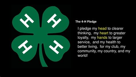 PPT - The 4-H Pledge PowerPoint Presentation, free download - ID:6814982