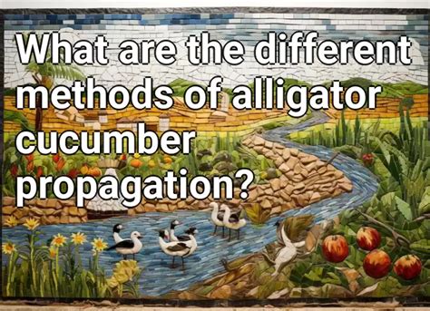 What are the different methods of alligator cucumber propagation ...