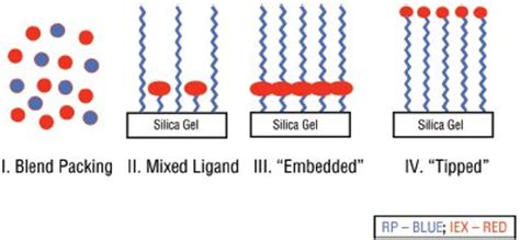 A Weak Anion-Exchange/Reversed-Phase Mixed-Mode HPLC Column and its Applications | American ...