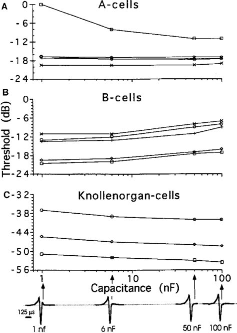 A±C Response threshold of ®ve mormyromast A-cells (A), ®ve mormyromast... | Download Scientific ...