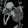 Skeleton PFP - Scary Halloween PFP for TikTok, IG, Discord, Zoom