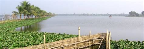 East Kolkata Wetlands is the world's largest organic sewage management system