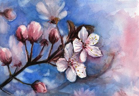 Cherry Blossoms Painting by Olga Shvartsur