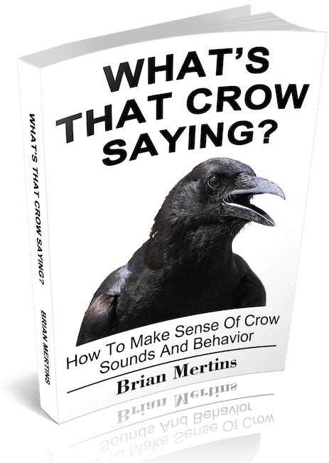 How To Understand Crow Language