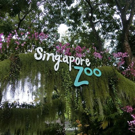 Singapore Zoo tickets. Singapore zoo location & opening hours - TravelAgentBatam.com