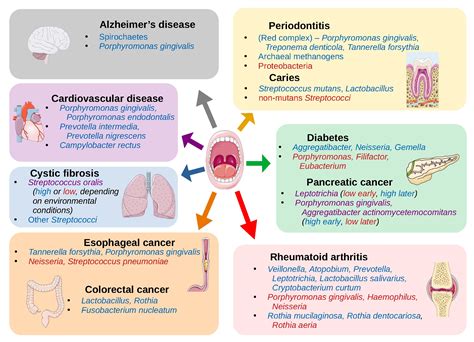 The Oral Microbiome – Microbiomes: Health and the Environment