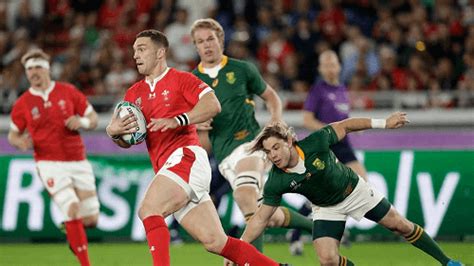 Wales v South Africa Match Recap & Updated Odds – Rugby News