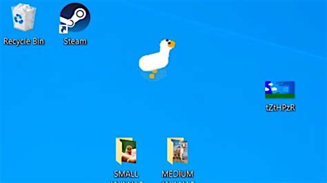 Desktop Goose – Alpha Download | Alpha Beta Gamer