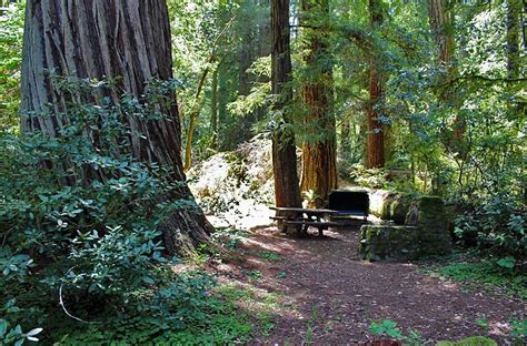 8 Best Campgrounds in Redwood National and State Parks, CA | PlanetWare