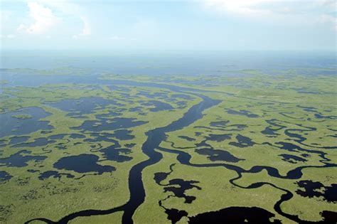 Park - Everglades National Park - The Alliance for Florida's National Parks