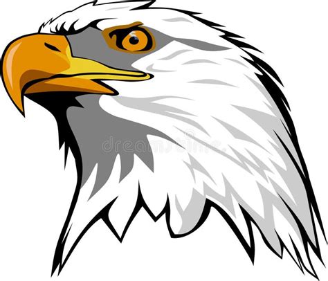 Eagle head stock vector. Illustration of vector, character - 83778605