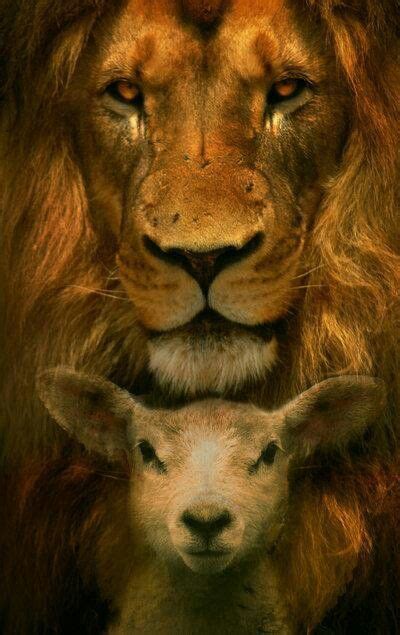 54 best images about The Lion and the Lamb on Pinterest | Peace on earth, Peace and Stop caring