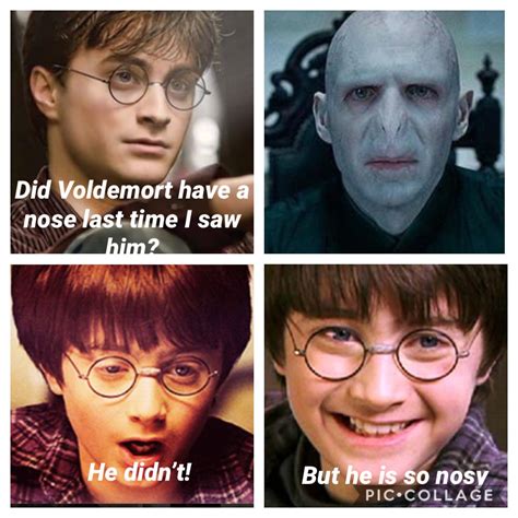 Funny Harry Potter Memes Voldemort Nose