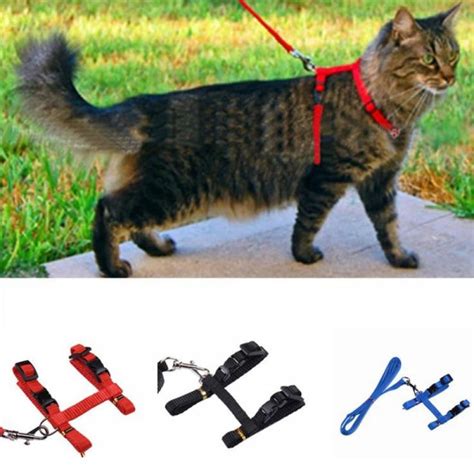 Cat Harness with Leash Kitty Harness and Bungee Leash Adjustable Safe Harness for Cats Escape ...