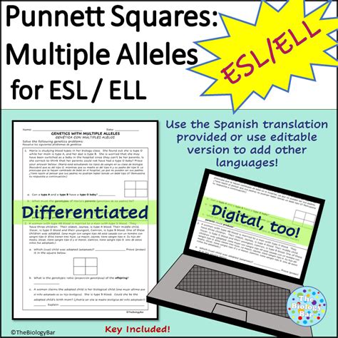 Genetics Multiple Alleles Punnett Square Problems – Bilingual Marketplace