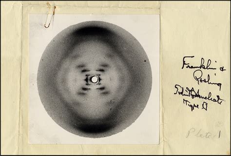 Rosalind Franklin and the Advent of Molecular Biology: Cell