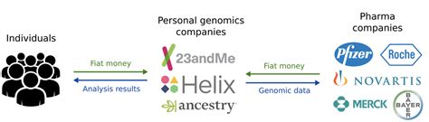 Profile: Nebula Genomics | BUSN39100 Augmented Intelligence