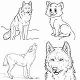 25 Free Wolf Coloring Pages For Kids And Adults  Blitsy sketch template